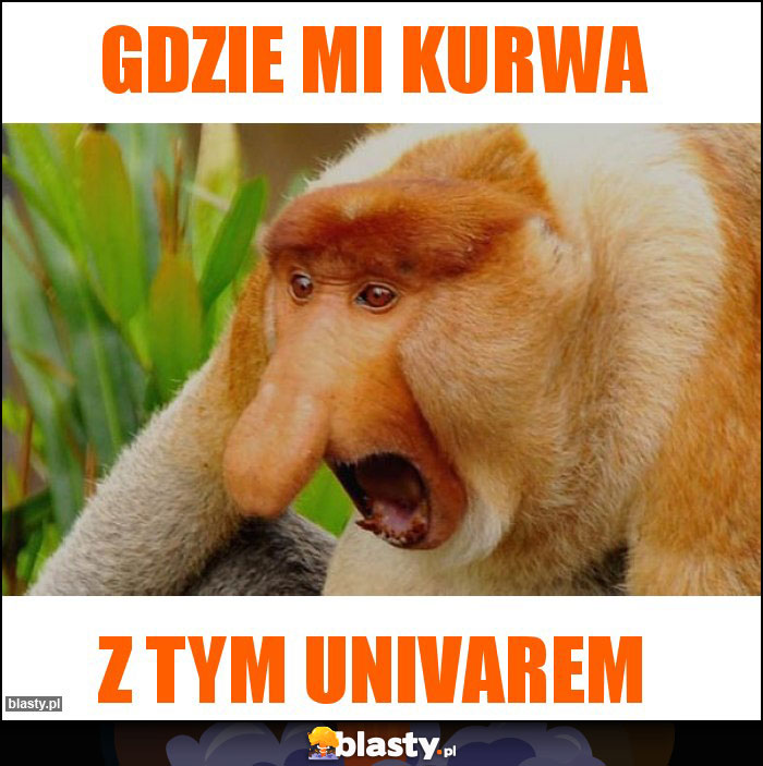 Gdzie mi kurwa