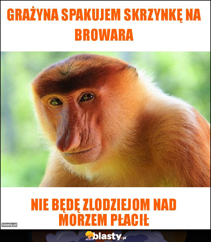 Grażyna spakujem skrzynkę na browara