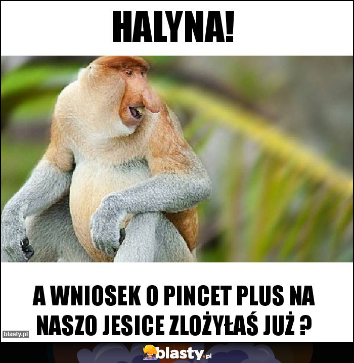 Halyna!