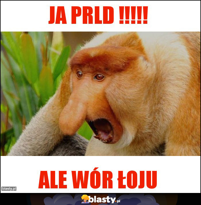 ja PRLD !!!!!