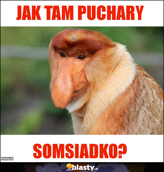 Jak tam puchary