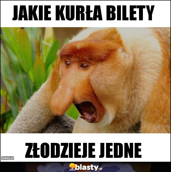 Jakie kurła bilety