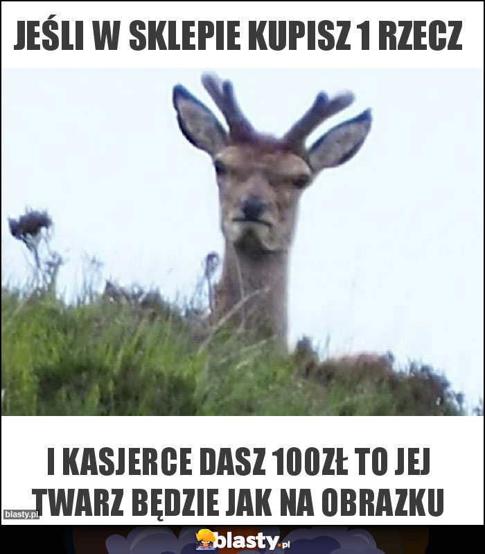 Jeśli w sklepie kupisz 1 rzecz