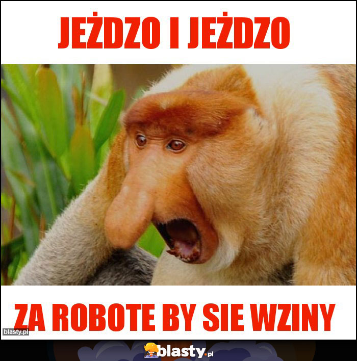 jeżdzo i jeżdzo