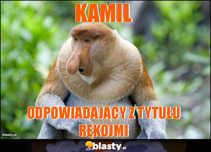 KAMIL