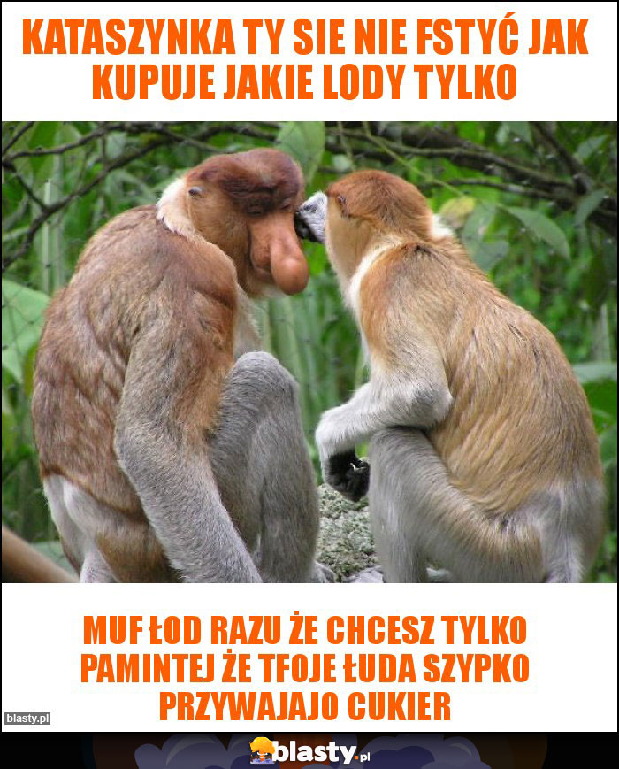 KATASZYNKA TY SIE NIE FSTYĆ JAK KUPUJE JAKIE LODY TYLKO