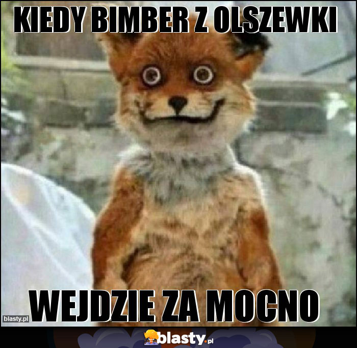 Kiedy bimber z olszewki