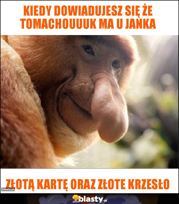 Kiedy dowiadujesz się że tomachouuuk ma u janka