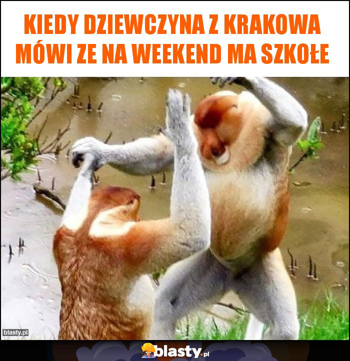 Kiedy dziewczyna z Krakowa mówi ze na weekend ma szkołe