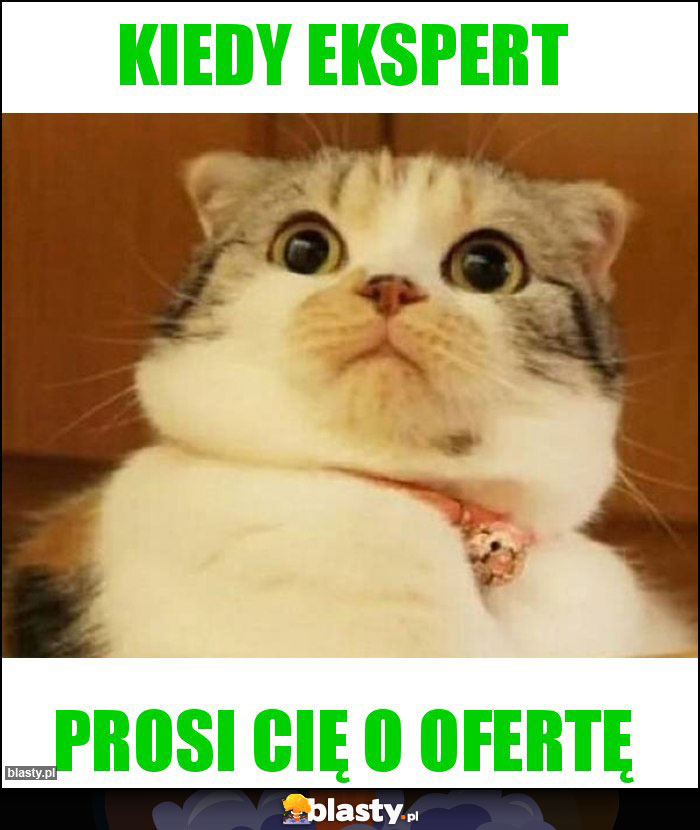 Kiedy EKSPERT