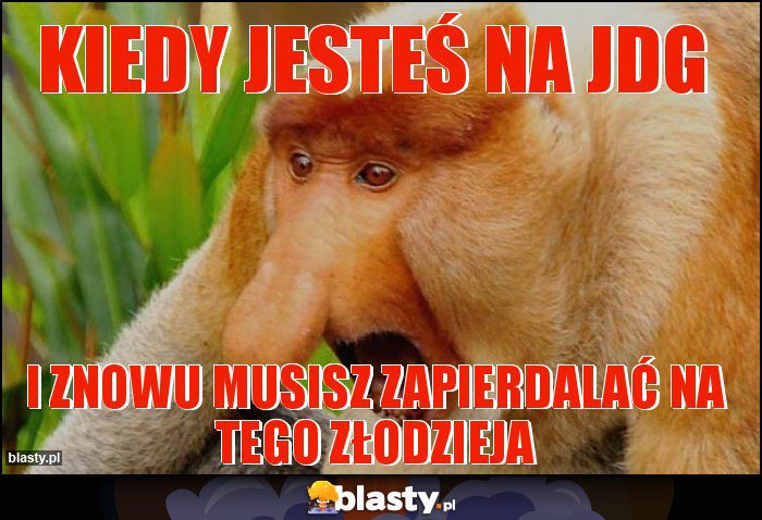 kiedy jesteś na jdg