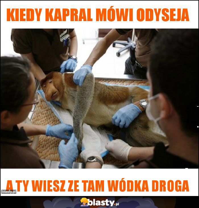 Kiedy Kapral mówi odyseja