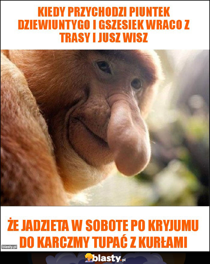 kiedy przychodzi piuntek dziewiuntygo i gszesiek wraco z trasy i jusz wisz