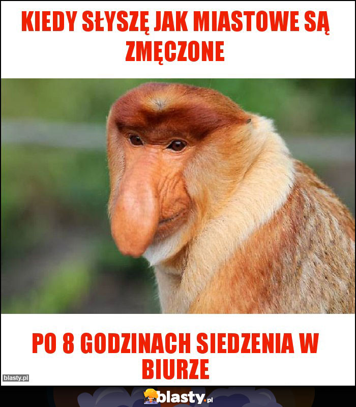 Kiedy słyszę jak miastowe są zmęczone