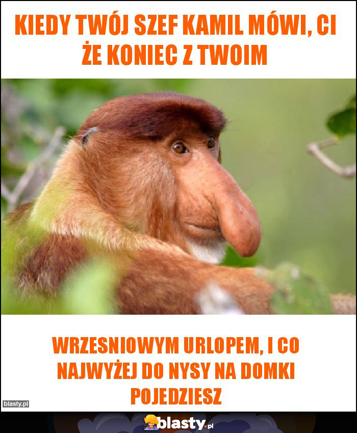 Kiedy Twój szef KAMIL mówi, ci że koniec z twoim