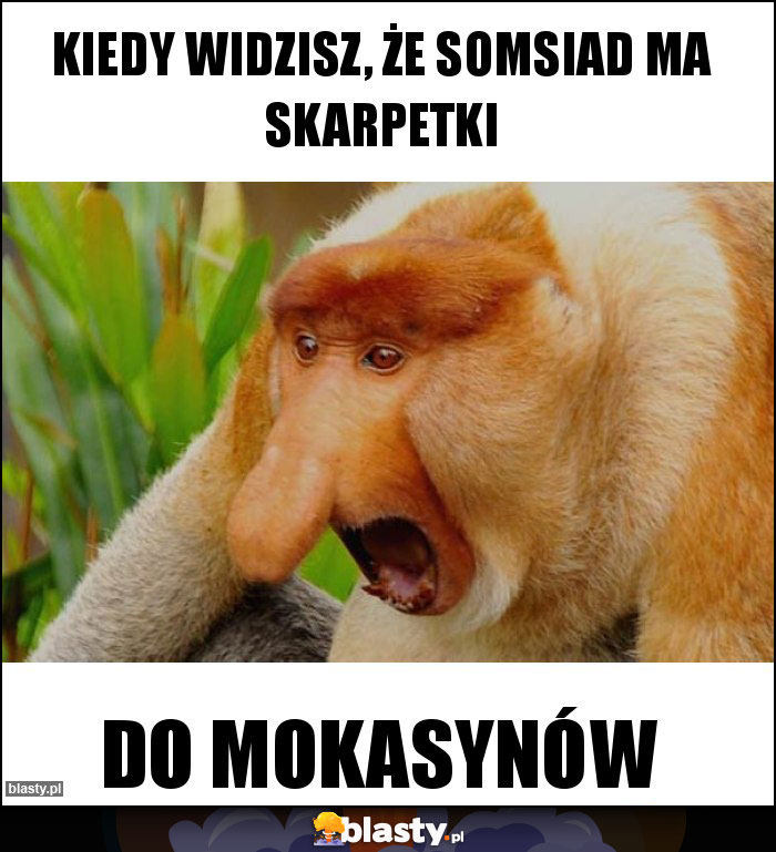 Kiedy widzisz, że somsiad ma skarpetki