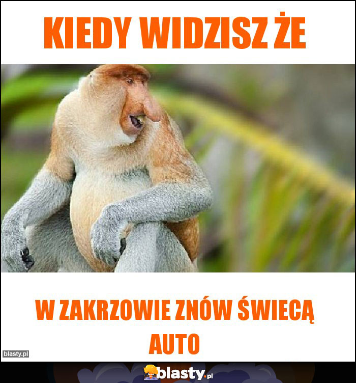 Kiedy widzisz że