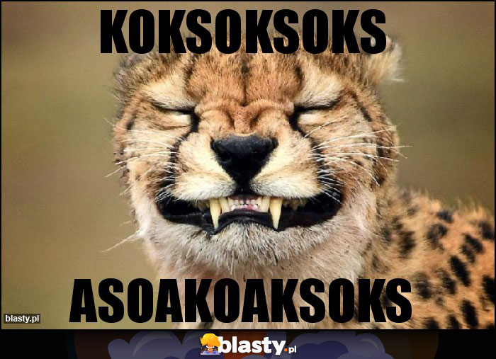 koksoksoks