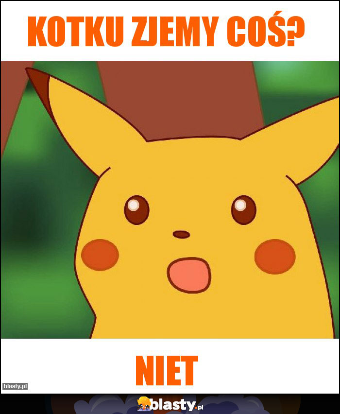 Kotku zjemy coś?