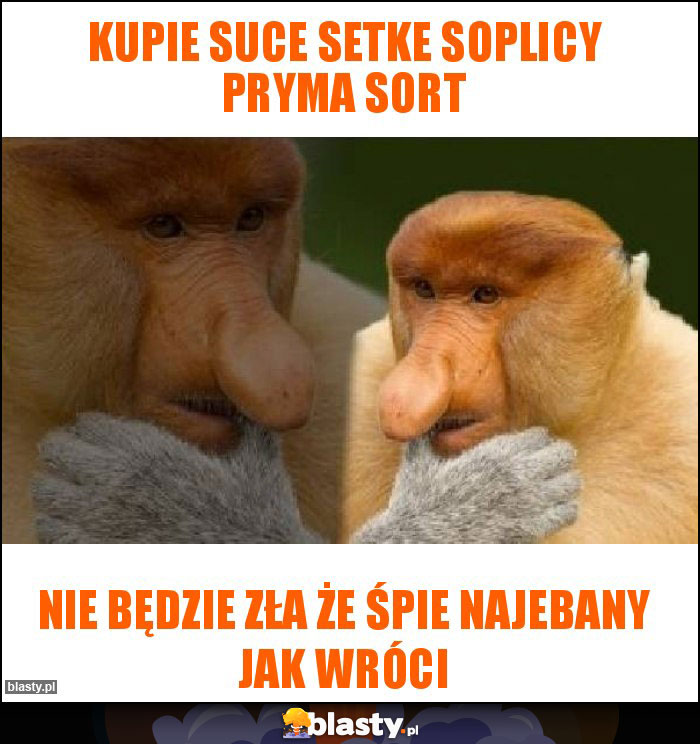 kupie suce setke soplicy pryma sort