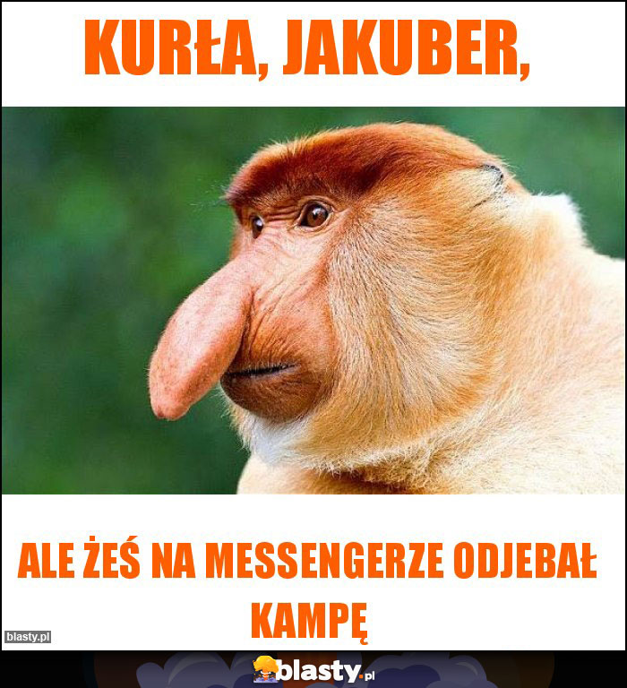 Kurła, Jakuber,