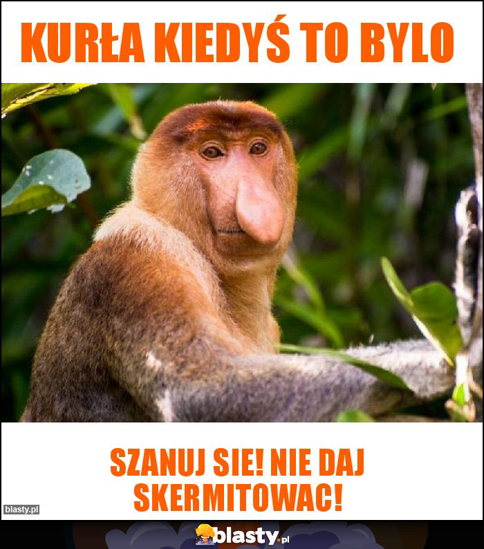 Kurła kiedyś to bylo