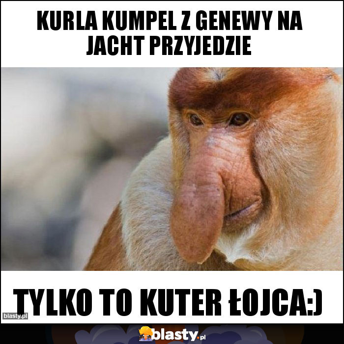 Kurla kumpel z Genewy na jacht przyjedzie