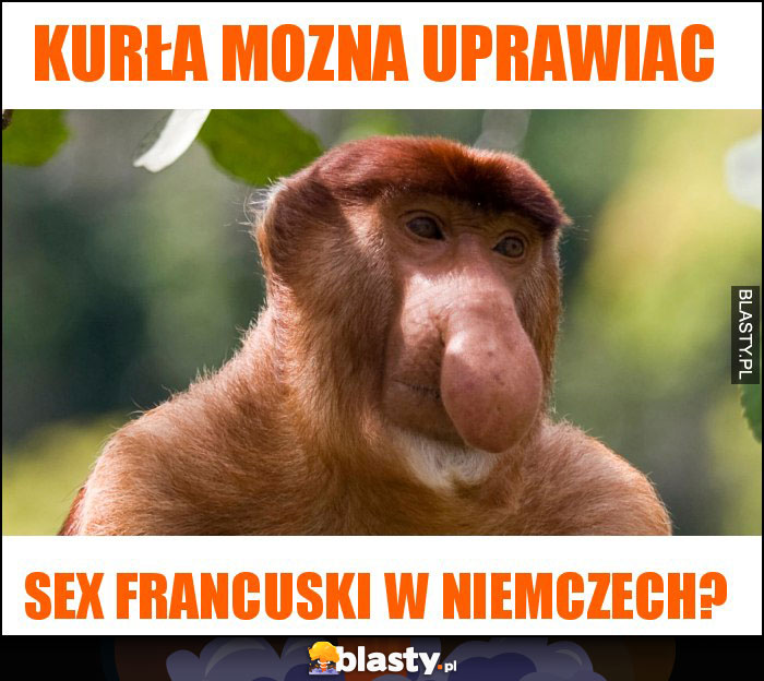 Kurła mozna uprawiac