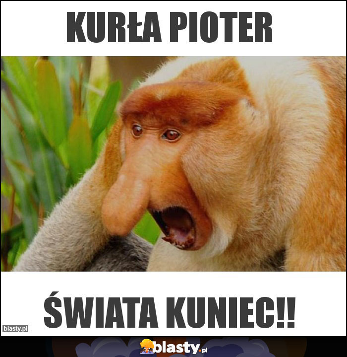 Kurła pioter