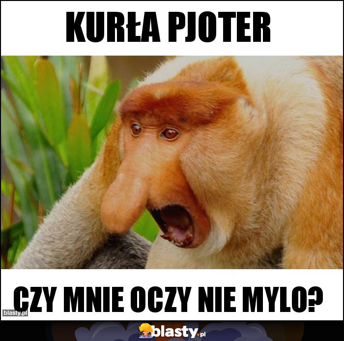 Kurła Pjoter