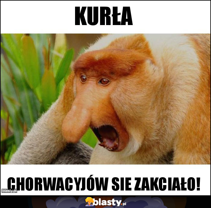 Kurła