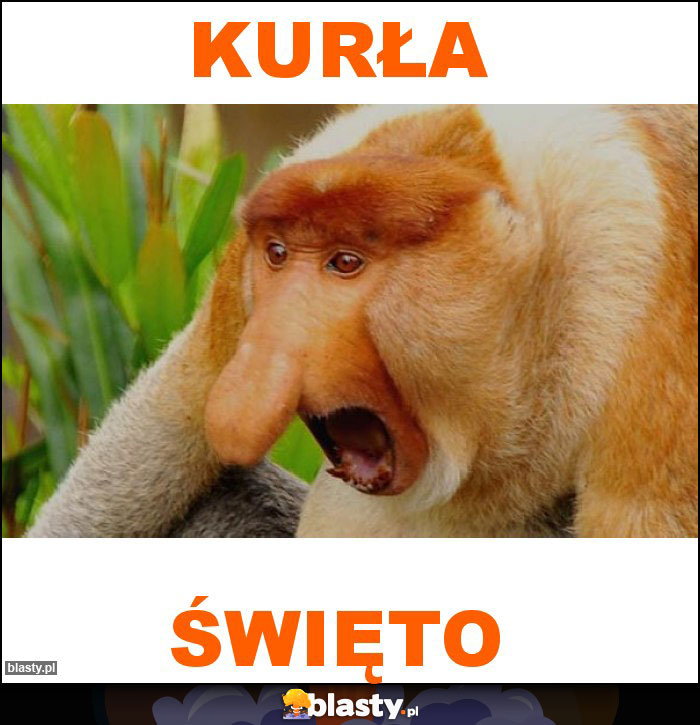 Kurła