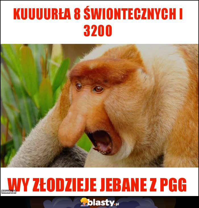 kuuuurła 8 świontecznych i 3200