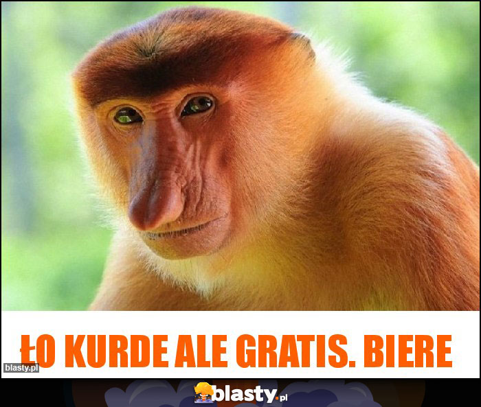 Ło kurde ale gratis. Biere