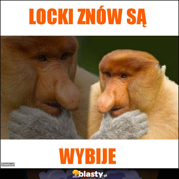 Locki znów są