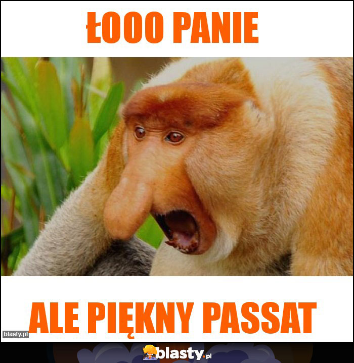 Łooo panie