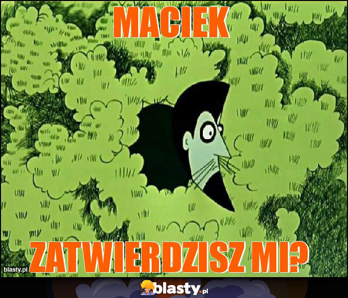 Maciek