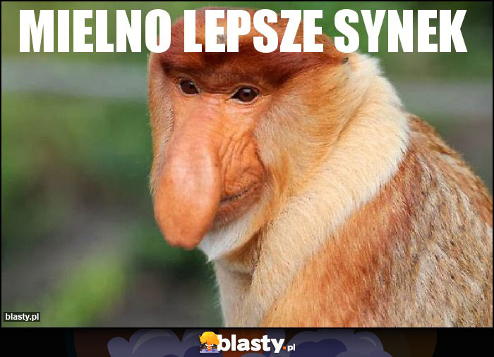 MIELNO LEPSZE SYNEK