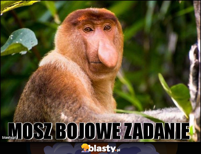 Mosz bojowe zadanie