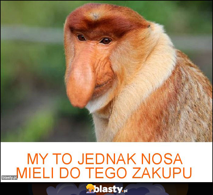 MY TO JEDNAK NOSA MIELI DO TEGO ZAKUPU