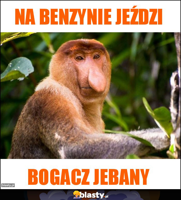 Na benzynie jeździ