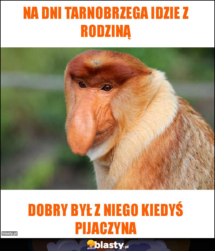 Na dni Tarnobrzega idzie z rodziną