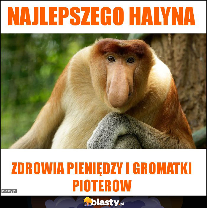 Najlepszego halyna