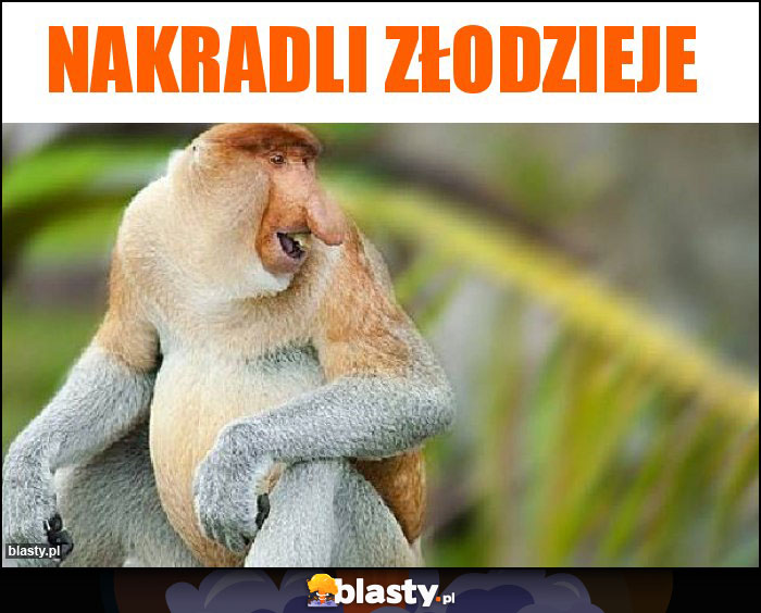 Nakradli złodzieje