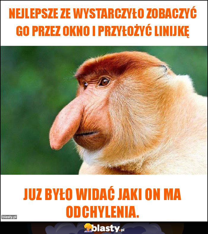 Nejlepsze ze wystarczyło zobaczyć go przez okno i przyłożyć linijkę