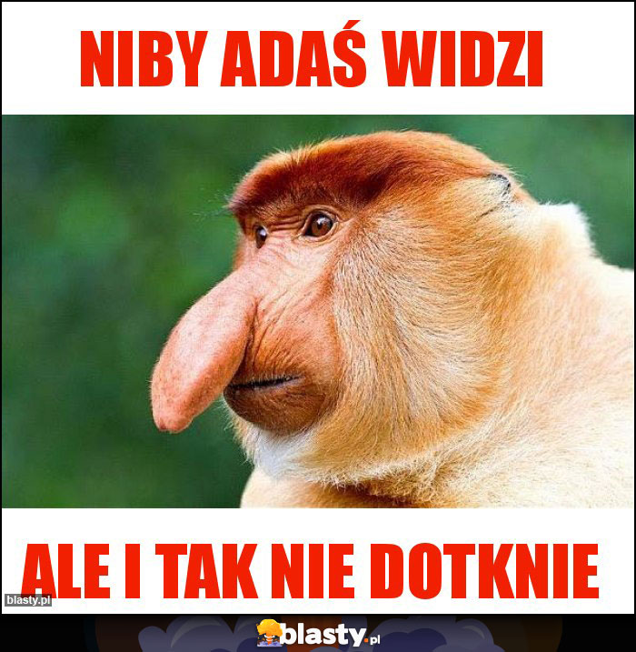 NIBY ADAŚ WIDZI