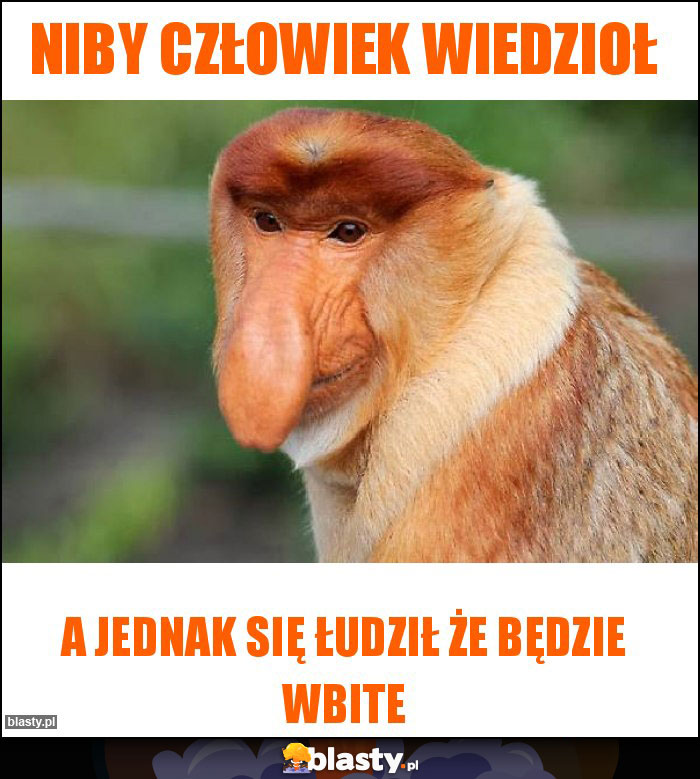 Niby człowiek wiedzioł