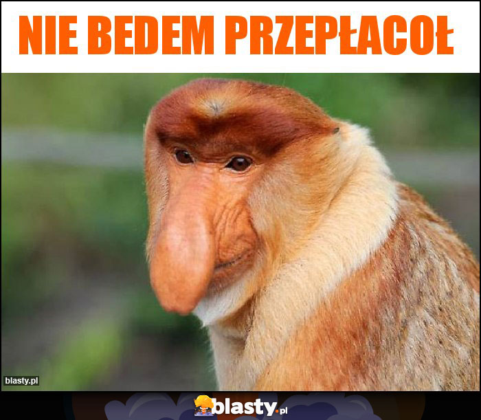 Nie bedem przepłacoł