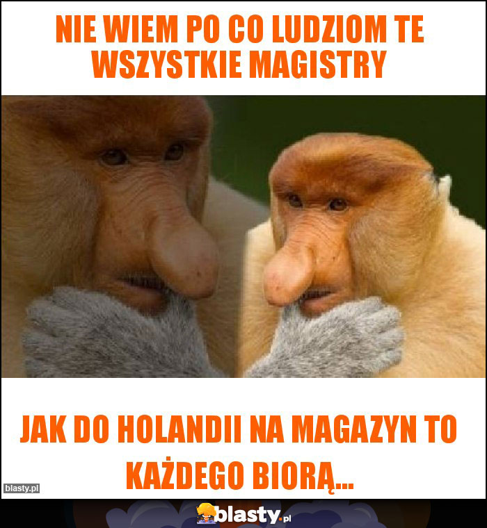 Nie wiem po co ludziom te wszystkie magistry