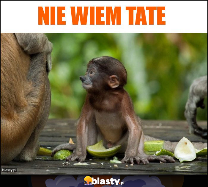 Nie wiem tate